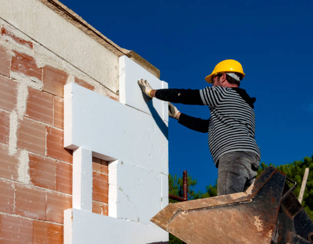 Best Insulation Maintenance and Repair in Rainelle, WV